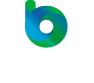 Blynk